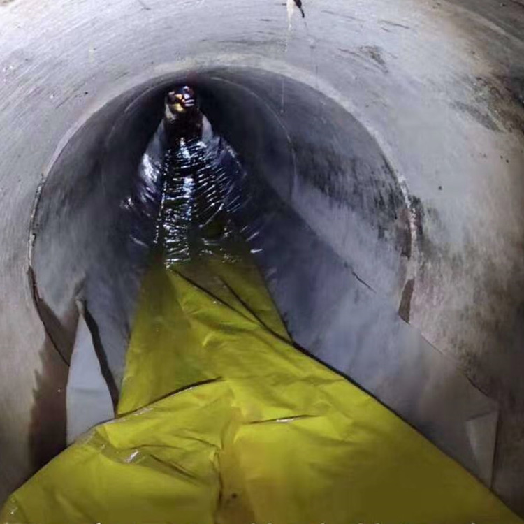 定结管道光固化修复